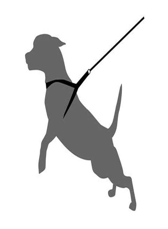 PETLICIOUS & MORE بيتليشوس آند مور (المقاس: كبير جدًا، السماكة: 1.50 بوصة) طقم سرج ومقود للكلاب قابل للتعديل، مناسب للمشي اليومي في الهواء الطلق والتدريب والجري (كبير جدًا) - أسود - Image 2